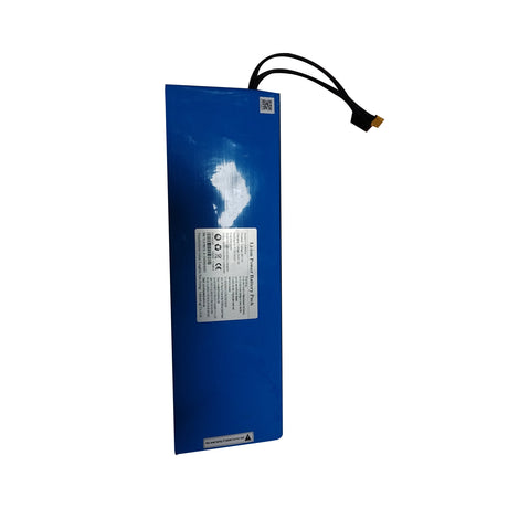 Escooter Battery